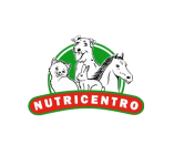 Desarrollo web