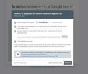 Verificación propiedad por registro TXT